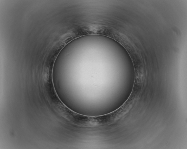 X0000113940656200909251241