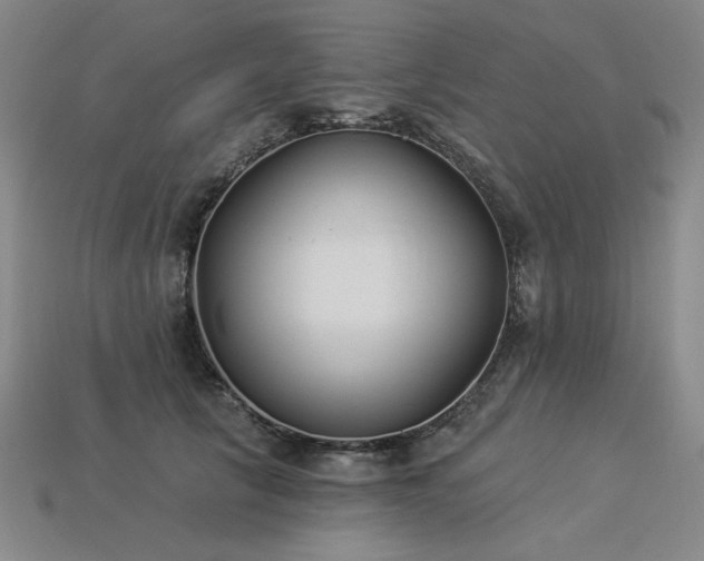 X0000113940657200909251241