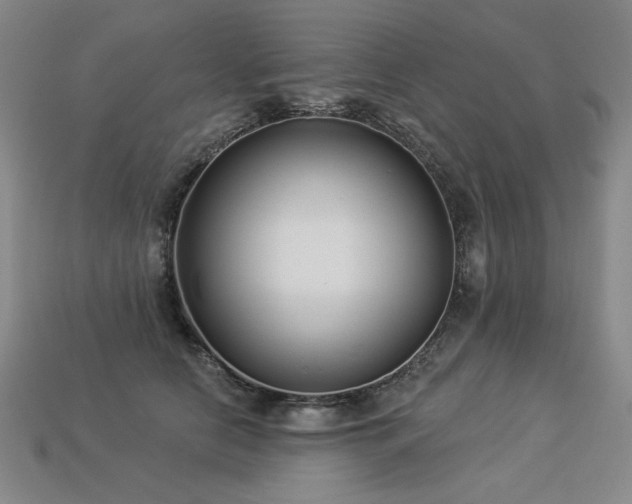X0000113940658200909251241