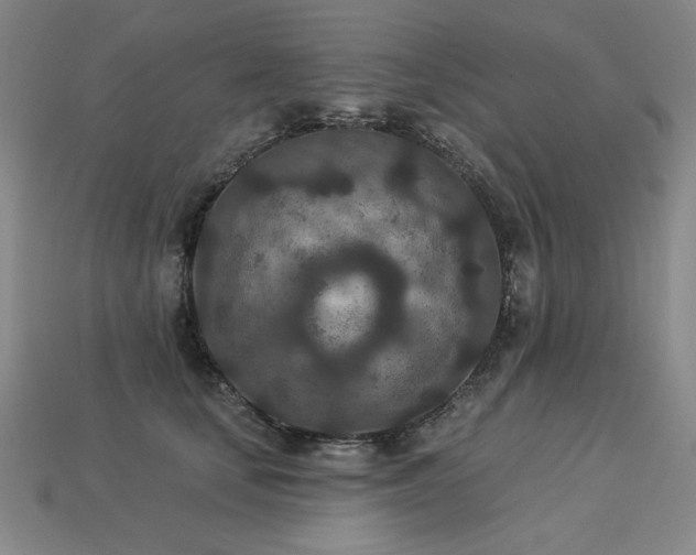 X0000113940659200909251241
