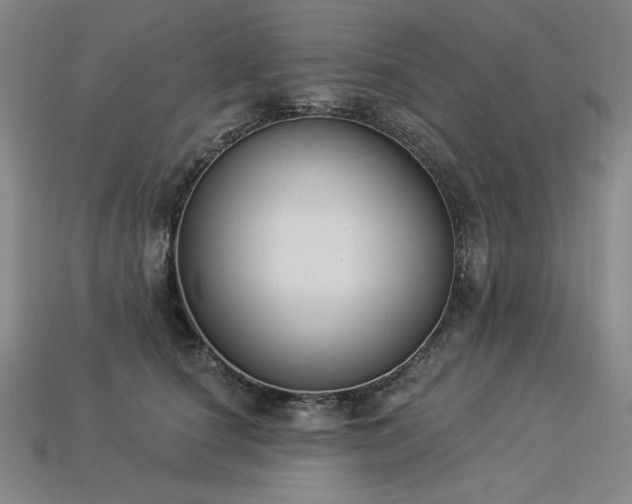 X0000113940660200909251241