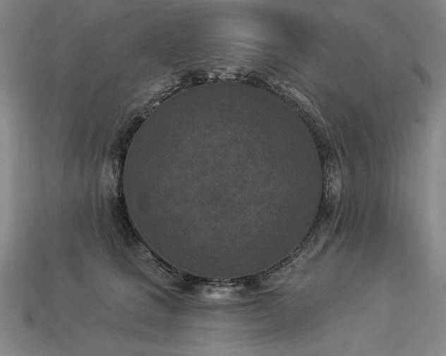 X0000113940661200909251241