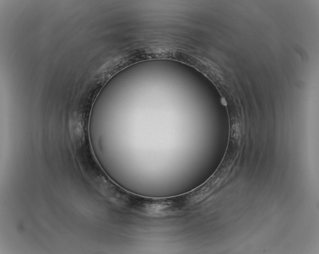 X0000113940662200909251241
