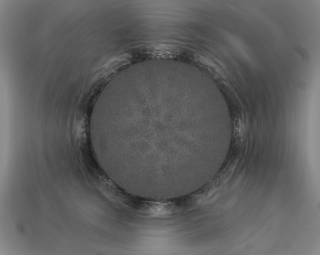 X0000113940663200909251241