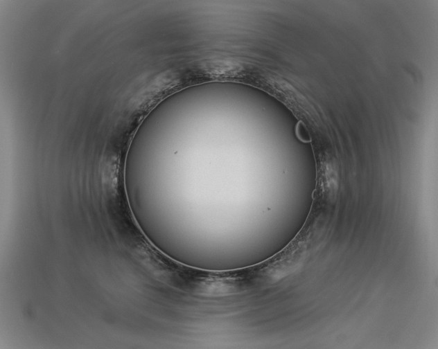 X0000113940664200909251241