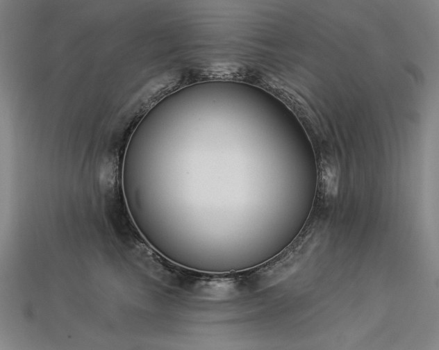 X0000113940665200909251241