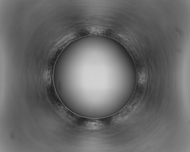 X0000113940666200909251241