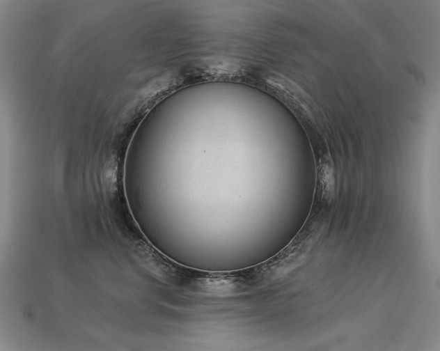 X0000113940668200909251241