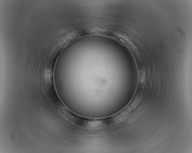 X0000113940669200909251241