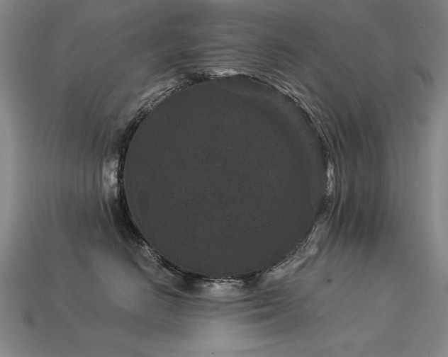 X0000113940670200909251241