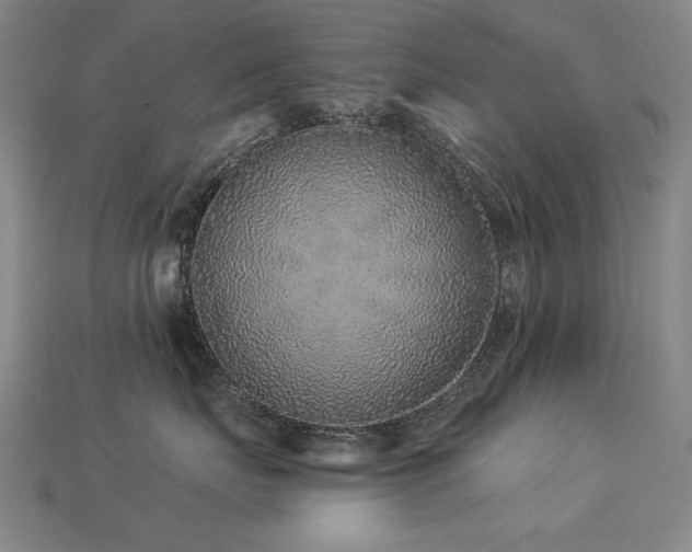 X0000113940671200909251241