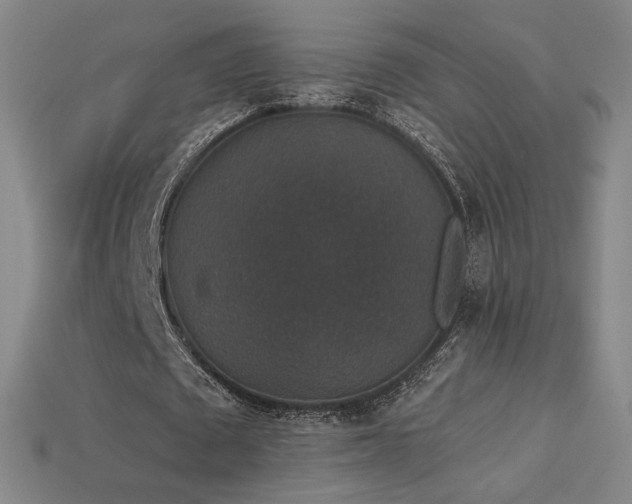 X0000113940673200909251241