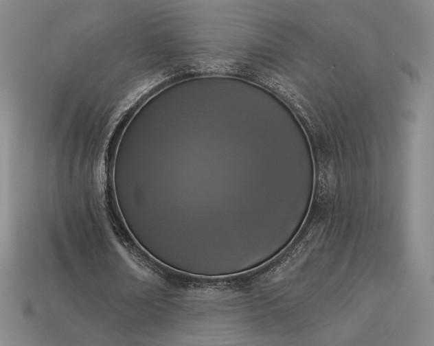 X0000113940674200909251241