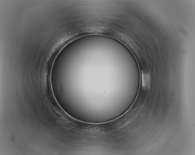 X0000113940675200909251241
