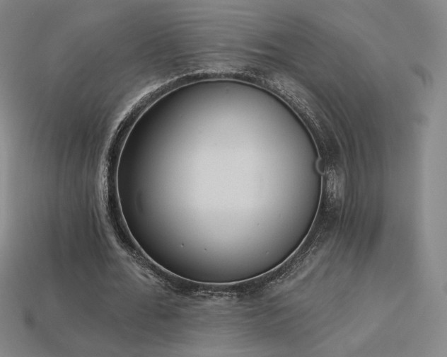 X0000113940676200909251241