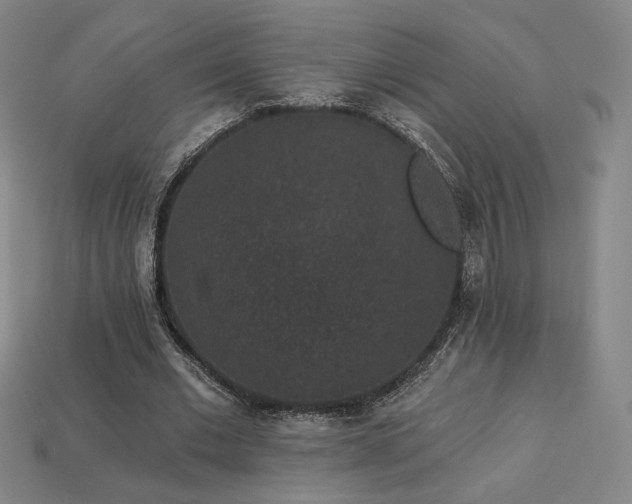 X0000113940677200909251241
