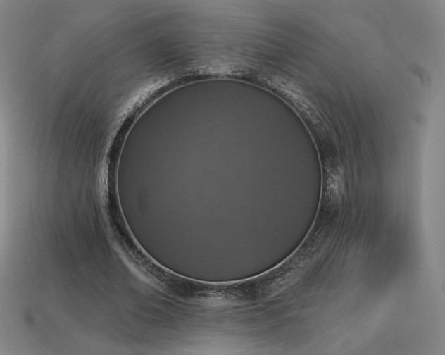 X0000113940678200909251241