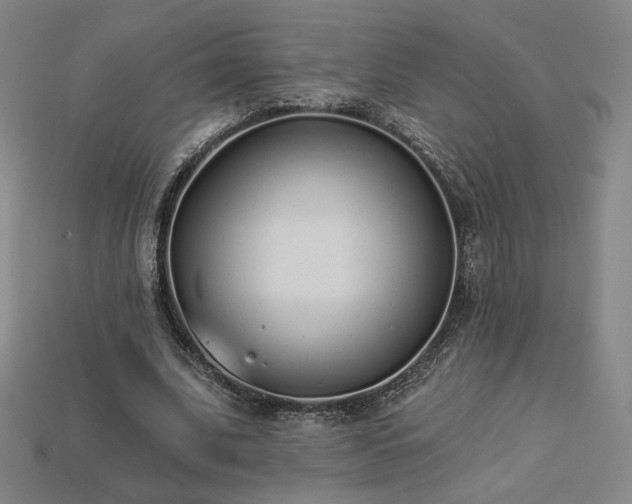 X0000113940679200909251241