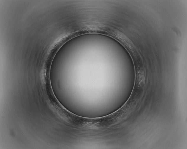 X0000113940680200909251241