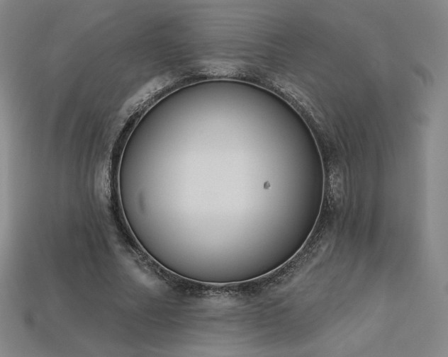 X0000113940682200909251241
