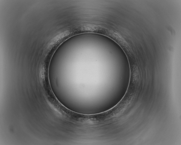 X0000113940683200909251241