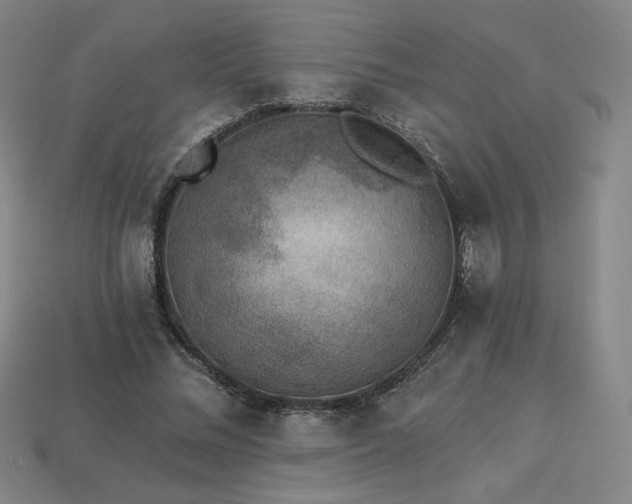 X0000113940684200909251241