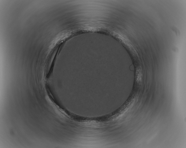 X0000113940685200909251241