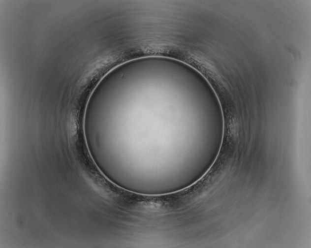 X0000113940687200909251241