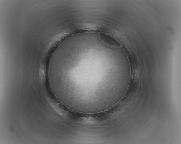X0000113940688200909251241