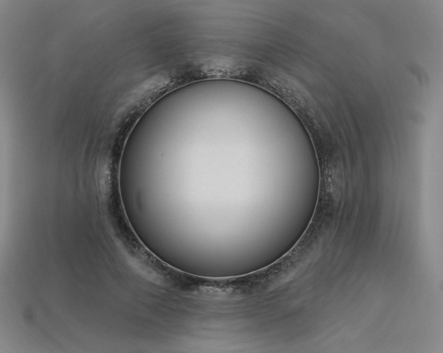 X0000113940690200909251241