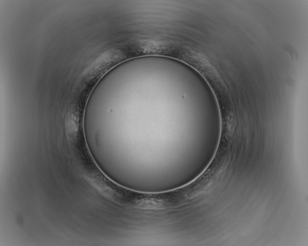 X0000113940691200909251241