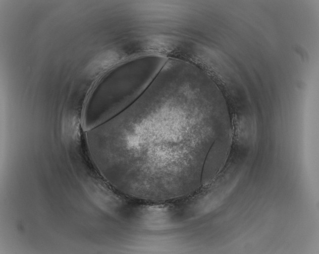 X0000113940692200909251241