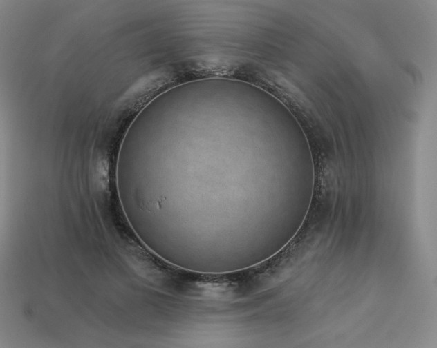 X0000113940693200909251241