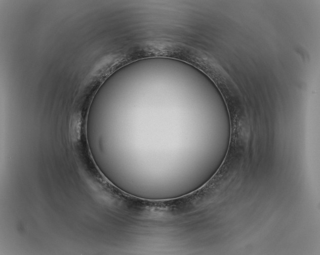 X0000113940694200909251241