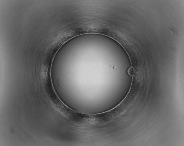 X0000113940695200909251241