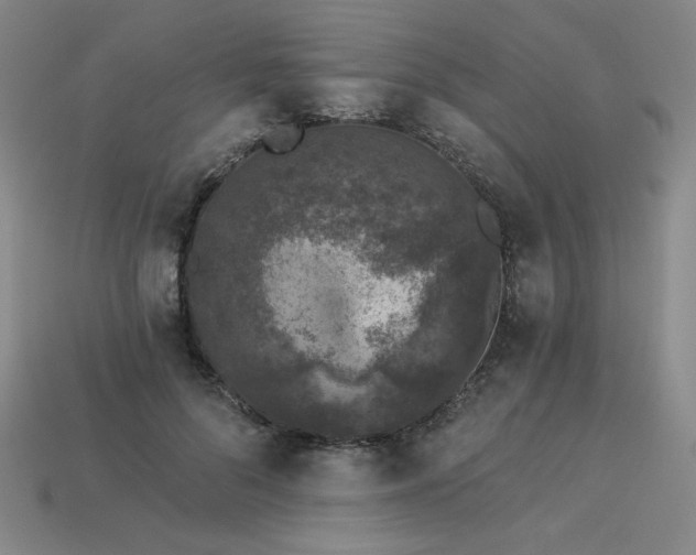 X0000113940696200909251241