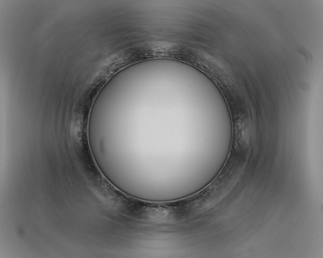 X0000113940698200909251241