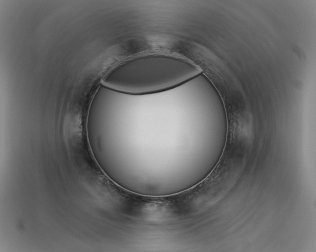 X0000113940700200909251241