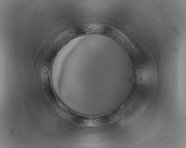 X0000113940701200909251241