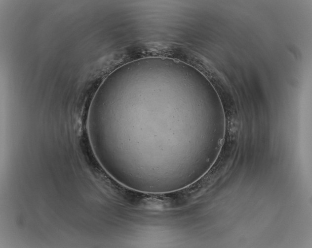 X0000113940703200909251241