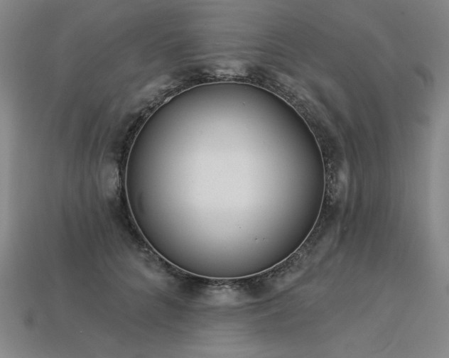 X0000113940704200909251241