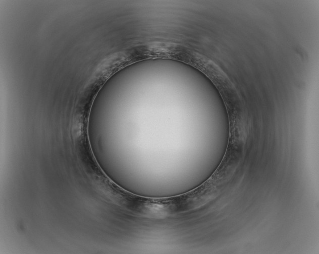 X0000113940706200909251240