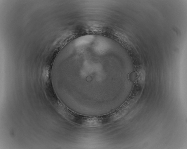 X0000113940709200909251240