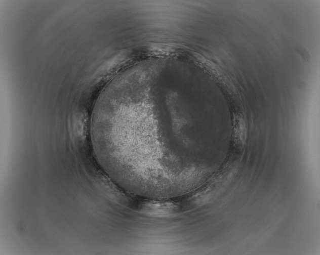 X0000113940712200909251240