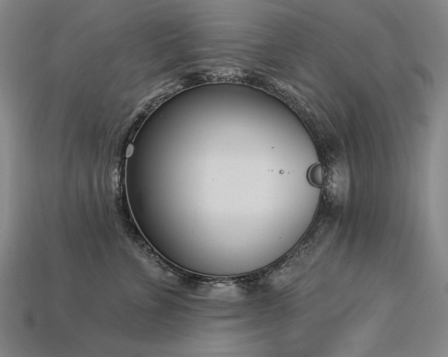 X0000113940715200909251240