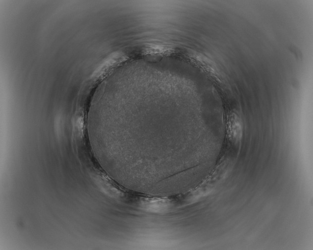 X0000113940716200909251240