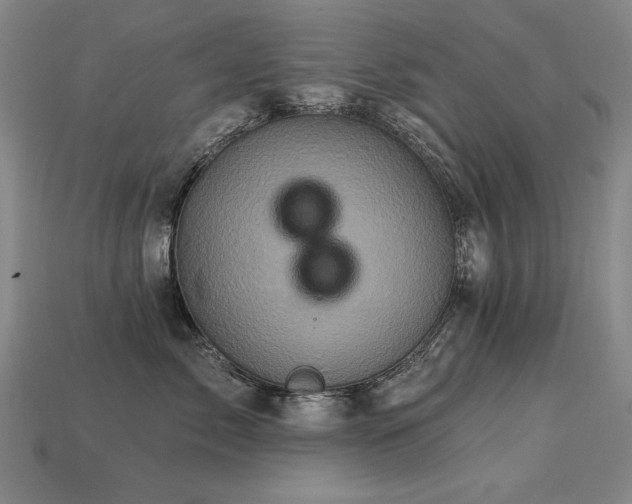 X0000113940717200909251240