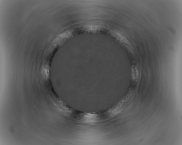 X0000113940718200909251240
