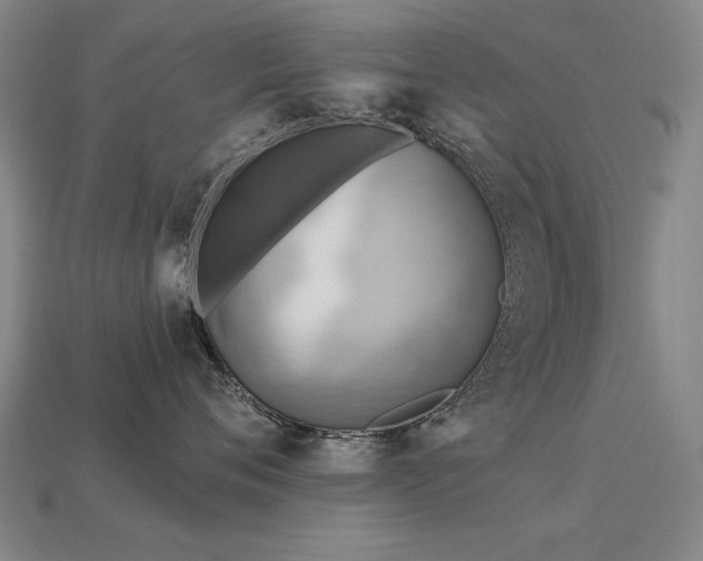 X0000113940720200909251240