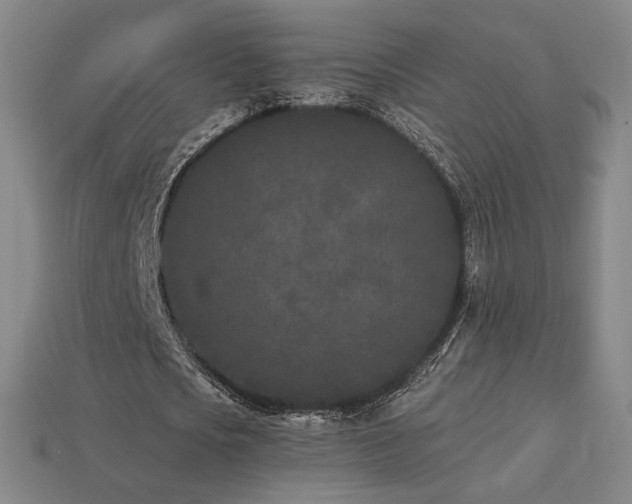 X0000113940721200909251239